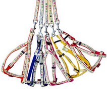 소형견 리드줄가슴줄 로첸 여름가슴줄 미니핀 포메 X밴드 하네스, 상세페이지 참조