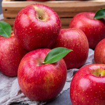 껍질채 먹는 고당도 꿀 사과 5kg 로얄과 당도보장, 가정용 사과 5kg(15~18과)로얄과, 1개