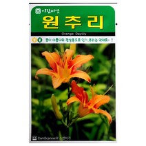 원추리씨앗 30알 원추리 꽃씨앗 야생화 꽃씨