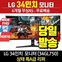 LG전자 34인치모니터 라퍼모니터 34GL750 (144/WFHD)