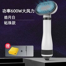 애완 동물 헤어 드라이어 브러싱 건조기 반려동물 털말리기 건조 업소용 그루밍 애견드라이기, D. 펄 화이트 - 전력 600W