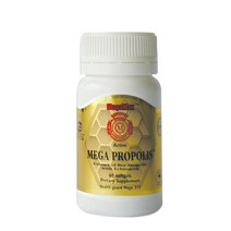 메가맥스 프로폴리스 1000mg 60정