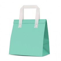 부직포 냉온 쇼핑백가방 민트(22cmx26cm) 보냉가방 런치백, 상세페이지 참조, 상세페이지 참조