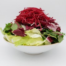 의령농산 건강채소 당일채소 당일제조 당일발송 스윗 믹스 샐러드 500g, 스윗혼합 믹스 샐러드 500g