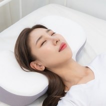 바디연구소 경추베개 숙면 메모리폼 낮은 기능성 경침, 경추베개 매쉬