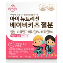 데이라이프 아이 뉴트리션 베이비키즈 철분 X 1박스, 33포, 1개