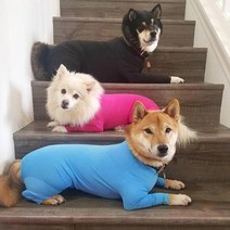 L 애견 중형견 대형견 올인원 실내복 내복 강아지 실내 시바견 리트리버 겨울옷 쫄쫄이 우주복 티셔츠, 빨강