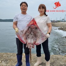 [방씨아들 X 3대째 제대루 홍어] 제대로된 흑산도 홍어 국내산 국산 삭힌 홍어 애 날개살 회 강한숙성 약한 안삭힌 홍어, 중급자(중간맛), 국내산홍어1.5kg