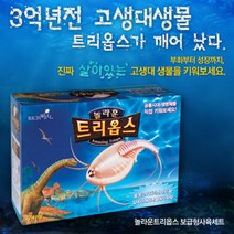 긴꼬리투구새우 키우기-보급형 소(트리옵스 공룡 살아있는화석생물키우기 교육실습용 갑각류 새우 씨몽키), 단일속성
