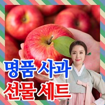 [프리미엄]사과 명절 과일 선물세트 제수용 가정용 선물용 보자기포장, 프리미엄 사과 1호