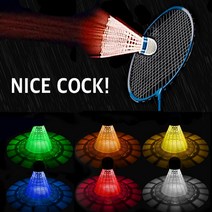 [셔틀콕바구니] 아싸라봉 나이스콕 LED 야광 불빛 나이트 셔틀콕 배드민턴 공 6가지 라이트볼, 혼합색상, 6개입