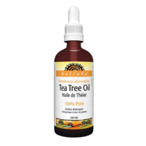 [100% 캐나다 정품] 캐나다 코스트코 직구 홀리스타 티트리 오일 100ml Holista Tea Tree Oil 100 ml