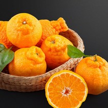 천하일품 명품 한라봉 천혜향 청견 카라향, 1박스, 07.한라봉 10kg 중소과(51-65과)