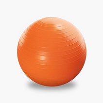 짐볼 트레이닝 65cm 안티버스트 짐볼 요가볼 발란스볼 돔볼 에어펌프증정, 퍼플