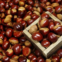 달달한 햇밤 삼조생 밤 알밤 대 3kg 칼집없음