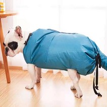 펫드라이룸 강아지 고양이 드라이기 반려동물 반려견 털말리는 기계 개 머리 손질 가방 어, 몸길이35-51cm