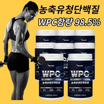류신 단백질 보충제 루신 저분자 leucine 발린 이소류신 bcaa 레시틴 미국산 농축 유청 wpc 단백분말 가루 파우더 헬스프로틴 여자근육량늘리기 아미노산스코어 500g 8개