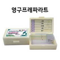 중등과학 혈액형 세포구조 현미경표본 홈스쿨링 관찰용파라트 실험준비물 학습도구