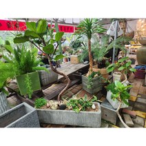 떡깔나무 완성작품