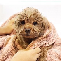 한샘크리너 국내산 초극세사 애견타올 강아지타올 펫타올 40*60, 그레이