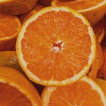 제주 고당도 감귤 하우스 밀감 노지 타이벡 귤 3kg, 하우스 감귤, 가성비 굿 감귤 3kg / 소과, 1개