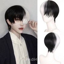 장 울프컷 반묶음 할아버지 탈모 중년 웨이브 남성 선물 통가발 노인 생머리 숏머리, 옵션 As the picture 13