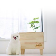 강아지사료통 고양이 프리미엄 편백나무 사료통