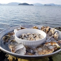 당일조업 산지직송 생굴 석화 하프쉘 통영 굴무침, 석화(각굴)2kg + 홍가리비 2kg