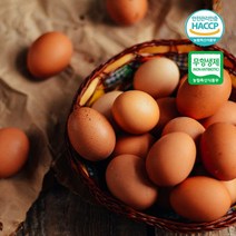 [더 시선] 쫀득쫀득 무항생제+HACCP 인증 구운계란 모음 영양간식 기획전+맛소금, 구운계란 총30개