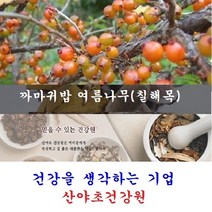 자연산 칠해목진액(5일분):20팩 옻, 20개