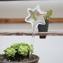 여기슈자동 인테리어 텃밭 화분 화초가꾸기 물주기, 자동급수기 별모양