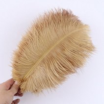 10개입 깃털 공예용품 공예DIY 새깃털 타조깃털 거위깃털 인테리어 거실인테리어 사무실인테리어 인테리어소품샵 방꾸미기 소품샵 욕실인테리어 베란다인테리어 부분인테리어 화장실인테리어, 40-45cm, 브랑 ㄴ