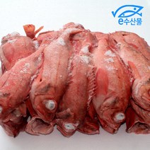 e수산물 업소 식당용생선 붉은볼락 박스 8.5kg 30마리 장문볼락 열기 붉볼락 빨간생선 구이 매운탕