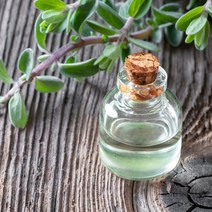 새로핸즈 천연 아로마 에센셜오일 마조람오일 30ml, 단품