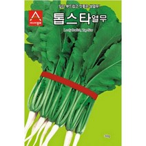 톱스타 열무 씨앗 20g 부드럽고 맛 좋은 쌈 종자 쌈야채 김치 열무 물김치 김장 텃밭 채소 농사