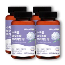 네이처부스터 수국잎 열수 추출물 프리미엄 정 1000mg, 60정, 4개