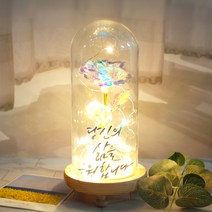 발트728 문구제작 홀로그램장미 기념일 선물 LED유리돔 글라스돔, 작은아이/홀로그램장미/엄마사랑해요