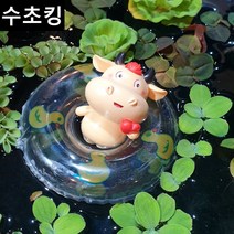 [수초킹] 부상수초 + 튜브세트 / 수초 구피 구피수초 어항 목련물배추 피시티아 미니물배추 살비니아 나탄스 쿠쿠라타 긴코 만강홍 부레옥잠, 튜브제외(수초만), 3촉 10촉
