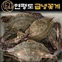 [미소가] 국산 연평도 냉동꽃게 간장게장용 양념게장용 암꽃게 숫꽃게 급냉꽃게 1kg 2kg, 1.급냉꽃게 암꽃게 중 1kg [4~5미]