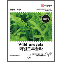 와일드루꼴라씨앗 3000립 이태리 인기채소 루콜라 종자 씨 향채소 씨앗, 1개