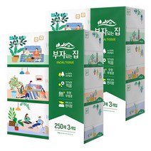 모나리자 부자되는집 각티슈 250매 3입, 2개