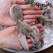 대한민국전통시장 싱싱한 서해 주꾸미 1kg 5-15미, 없음, 상세 설명 참조