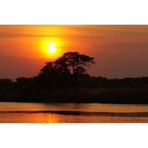 독일직구 커피 전문점 아프리카 - 에티오피아 - 커피 원산지 커피 (사료 1000g) - 컨트리 커피 - 피크 커피 - 산성 팔 - 샤이닝 갓 구운, 상세참조, 수량