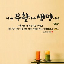 [천삼백케이] [월스토리] 나는생명이니-I, 다크그레이