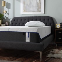 미국 직송 템퍼 TEMPUR-PEDIC LuxeAdapt Soft Twin XL 13인치 메모리 폼 10년 제한 보증, [01] 트윈 XL, [01] 단단한, 1개