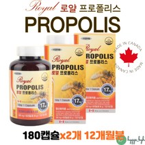 캐나다 직수입 로얄프로폴리스 성장기 청소년 수험생 노인 부모님 온가족 항산화 관리 영양제 건강기능식품 2병 12개월분 어버이날 추석 설 명절 선물 활성산소 유해산소 억제