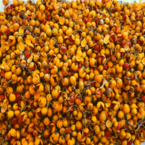 노박덩굴열매300g 국내산 햇 제품 노박열매, 노박열매300g