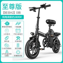 접이식 전기자전거 소형 대리운전 차토바이 미니 배달 여행, 48V, 지존/20A약80km/인버터대전기/S급배터리