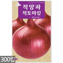 양파 씨앗 500립 - 씨 양파씨앗 양파씨 골드양파 채소씨앗 채소씨 노란양파 주말농장 텃밭, 14_적양파적토마킹(300립)