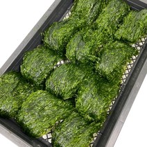 완도 생파래 물파래 1판 12개 500g 1kg, 파래 1kg